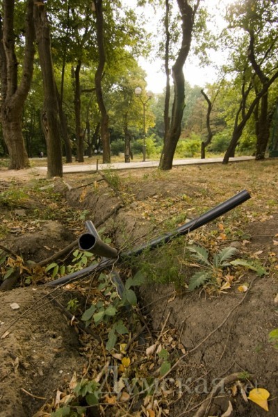 ����������� ��������������� ���?