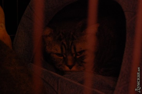 � �����...