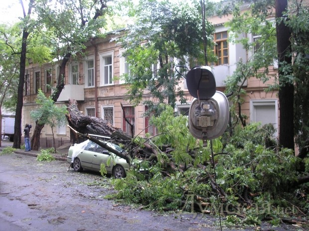 ����� ���������