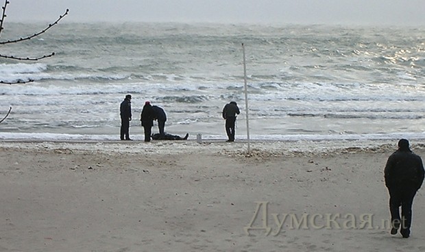 ����: ������������ ��������� ������ "andydandy"