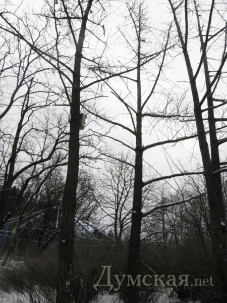 ������ � ����� ������. ���� ����� �������������