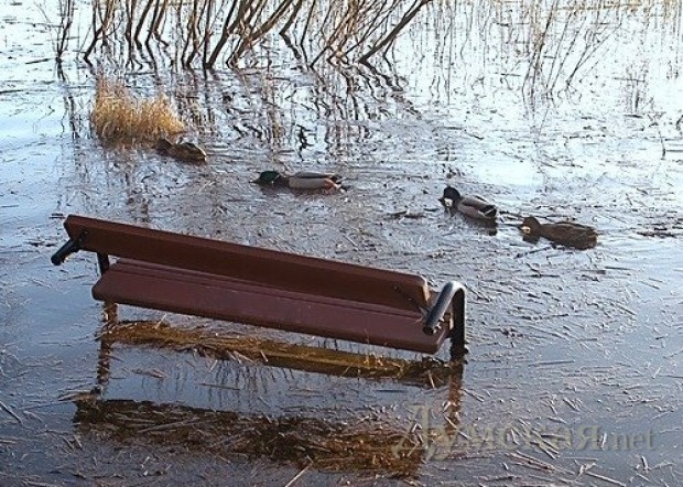 ���� � ����� Novostiua.net