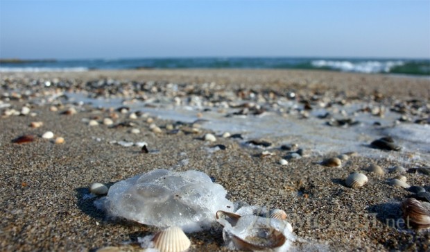 �� ����� ��������� ������