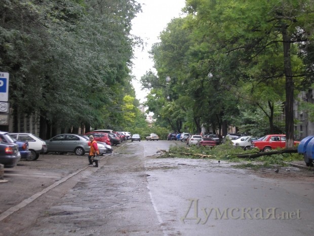 ����� �������