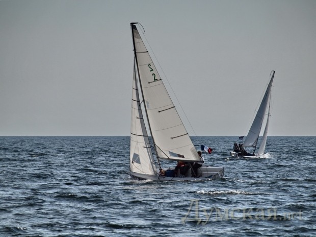 ������ ��������