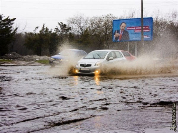 ���� � ��������� ������, ������������ nettdogy