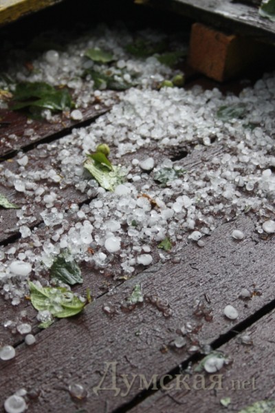 ���� ������ "�������"