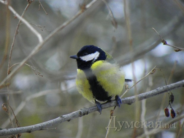 � ��� ����� ������ �� ������������ - �� ������ �� ����� ������ � ������. ���� ����� �������������  