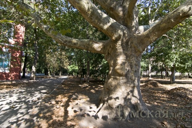 �� �������� ����������������� ��� ��� ������ ��� �����, � ������ �� ��� ������ ��� �������� � ���������� - ������ ������� �� ��������� ���� �� �������