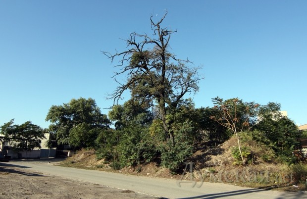 ������ ��� ������ ����� ������������� �� ����� - ��� �������� ��������� ���� - ��� ���������� ������ ���� 6-�� ���������� ��������