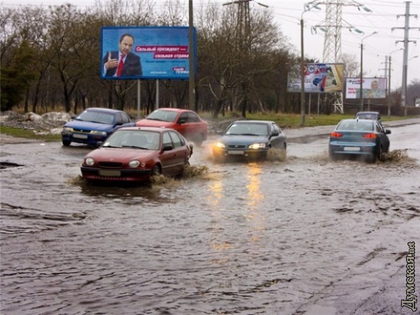 ���� � ��������� ������, ������������ nettdogy