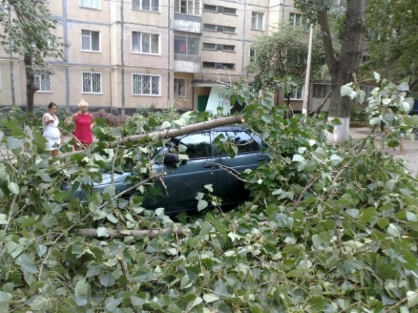 ���� �������� � ��������� ������