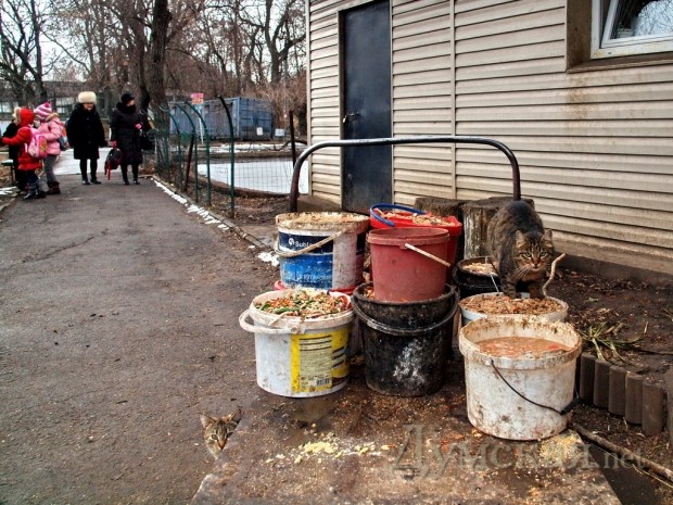 �� ���� ����� ����� ���� ��� �������� ��������. ���� ��� ��� ���