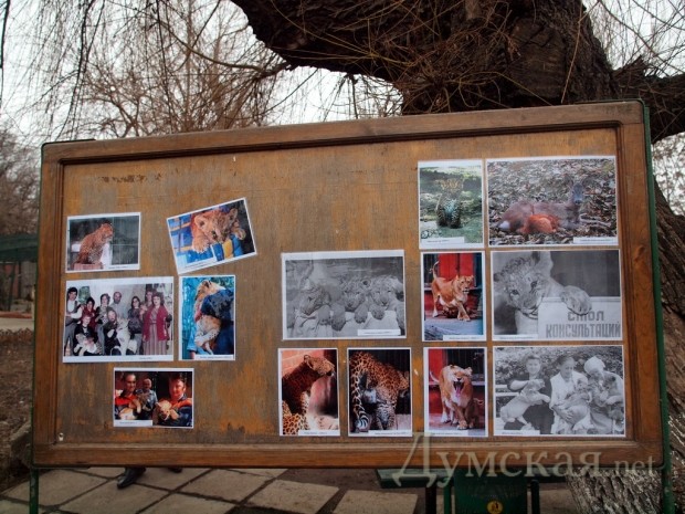 ������� ��������� �������� � 1970-� ��. � �� ���� �����