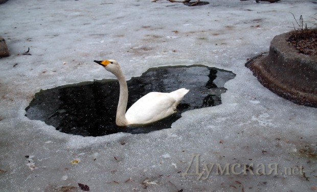 ����� ��� � ������: ����� �����