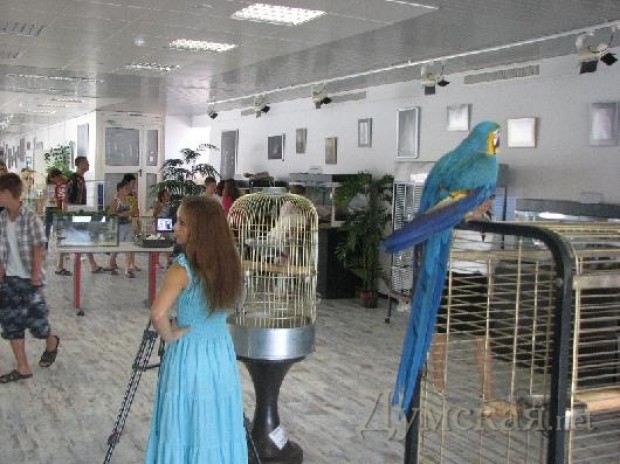 ���� � ������������ ����� ������