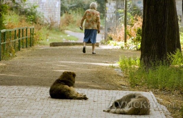 ��� � ��������, ���� � ������ � ���� ��������� �����