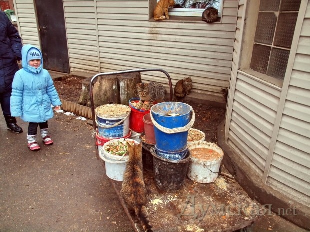 ���� � ����