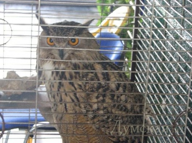 ���� � ������������ ����� ������