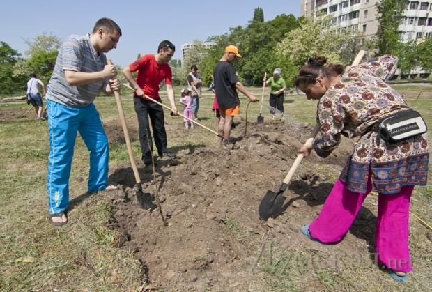 ����� �������� ������ ������� ������� �������