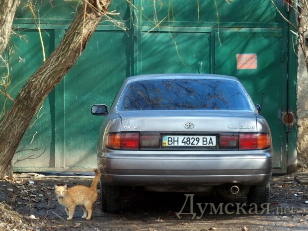 ����������� ���-������������