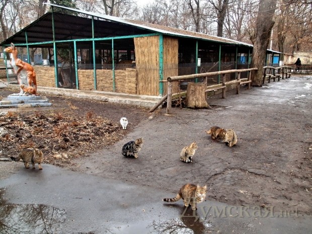 ���� ����� �� ���� �������� � ���������� �������