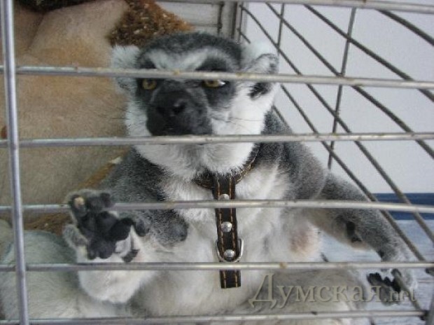 ���� � ������������ ����� ������