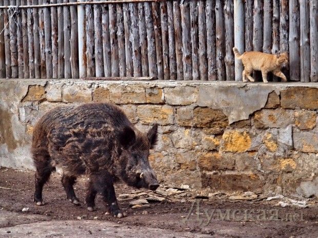 ����� � ���