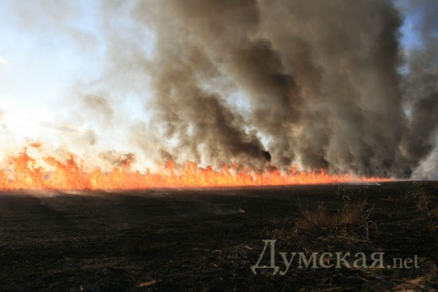 ����� 29 �������. ���� ����� ������