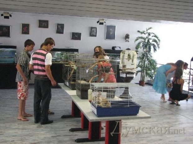 ���� � ������������ ����� ������