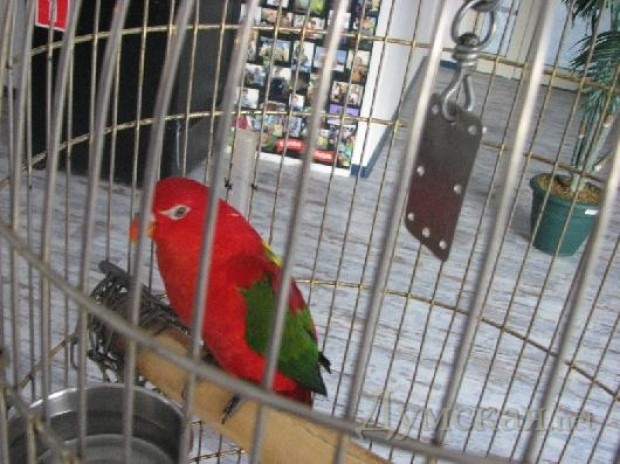 ���� � ������������ ����� ������