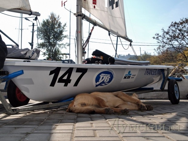 ��� ������ � ������ �� ���������. ���� - �����, ��� ����� �������.