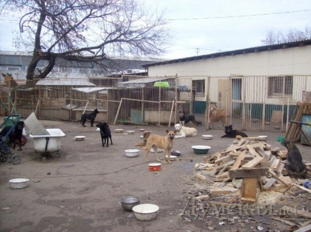 ����� "������". ���� 048.ua