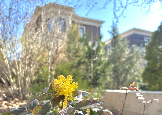 ������ ��������: ����� ������ ���������� ���� &mdash;&nbsp;����� ����� (�������������) 