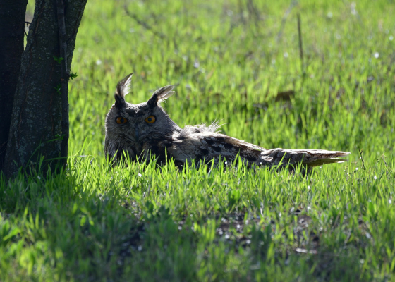 �&nbsp;������ ����� ������� �������� ����: ������ ����� ����� ����������� �������� ������ (����) 