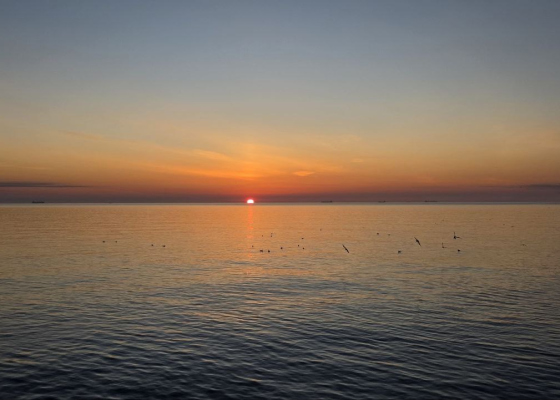 ����� ����: �������� ��������� ������� 8&nbsp;����� ���&nbsp;����� ������� (����) &nbsp;