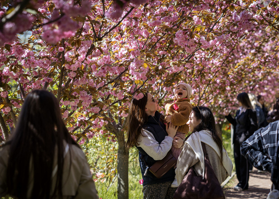 �&nbsp;�������� ������������ ���� ��������� ����� ���������� �&nbsp;�������� ����� ����� (������������) 