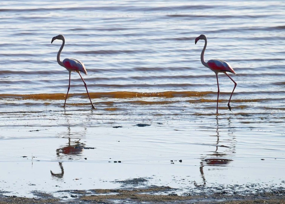 ��&nbsp;������, �&nbsp;�����: ��&nbsp;�������� ������� ��&nbsp;��������� ���&nbsp;��������� �������� 