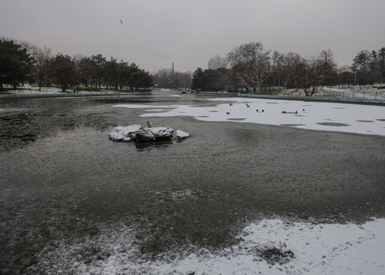 �������� �&nbsp;�������: �&nbsp;�������� ������� ��������� ��������� �������� ������� (������������) 