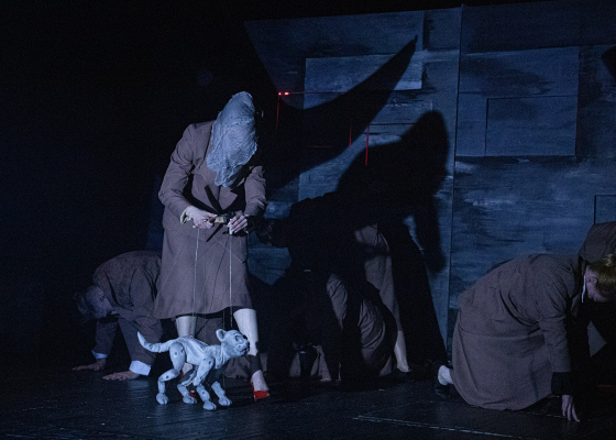 &laquo;��&nbsp;���&nbsp;���� �����������!&raquo;: �&nbsp;�������� ������ ����� ��������, �&nbsp;����� ������� ������������ ���� (����) 