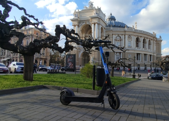 �������� ������, ��������� �������� �&nbsp;�����������: ����� ������� ���������������? (��������) 