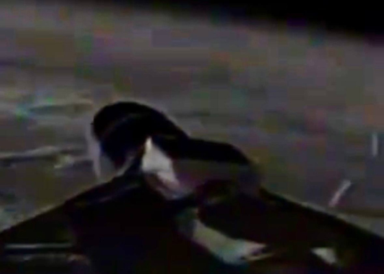 ������ ���������� �������: ����� ������, ���� �&nbsp;���������, ������� ��������� ������ �&nbsp;������ ��&nbsp;������-������������� 