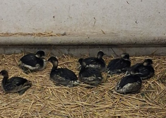 ��-�� ������� ����� �&nbsp;�������� ������ ������� ����� ������ ����, �&nbsp;��������� ��������� ���� �����, ����� ��������� �&nbsp;������� 