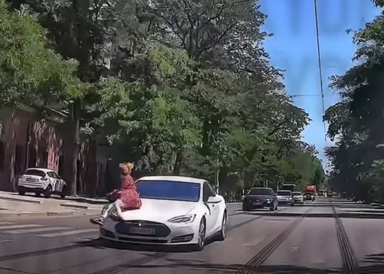 ������� ����������: �������� �������� ������ ������� ������������� ���������� �������� ��&nbsp;���������� 