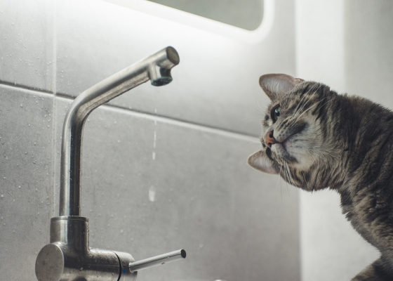 ����������� �����: ���&nbsp;������ ������ �&nbsp;��������� ��������� �&nbsp;������ ������� 