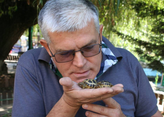 ����� �����������: ����� ������� ������� ���� ��������� ��������� �������� 