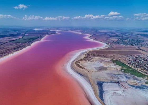 ����&nbsp;�������� ���������: ����������� ���� �&nbsp;���������� ��������� ��.&nbsp;�������� ������ �&nbsp;������ �������� ������������ 