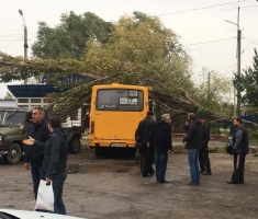 ���� - ��������� ��������