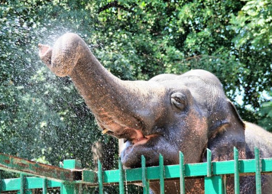 �������������, ��&nbsp;������� ���&nbsp;�����, �&nbsp;����������� ���������� ��&nbsp;�������: �&nbsp;������ ��&nbsp;��������� ������ ��������� �������� ��&nbsp;�������� 