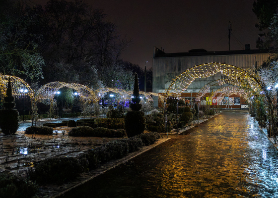 ������ ������������: ������� ������ � ����� ����� ����� (�������������)